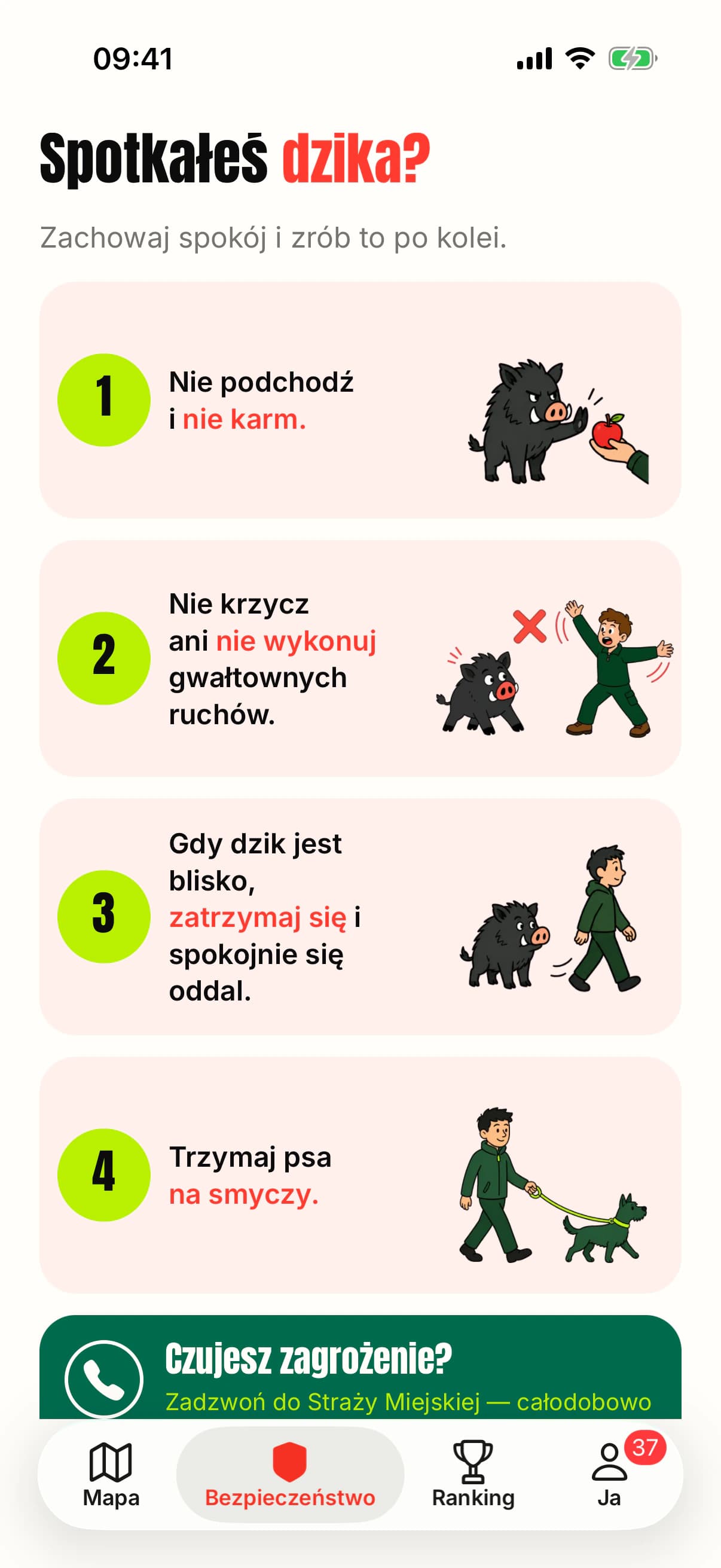 Instrukcje bezpiecznego zachowania przy spotkaniu z dzikiem.